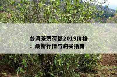 普洱茶薄荷糖2019价格：最新行情与购买指南