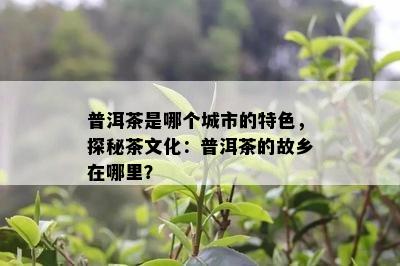 普洱茶是哪个城市的特色，探秘茶文化：普洱茶的故乡在哪里？