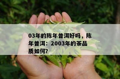 03年的陈年普洱好吗，陈年普洱：2003年的茶品质如何？