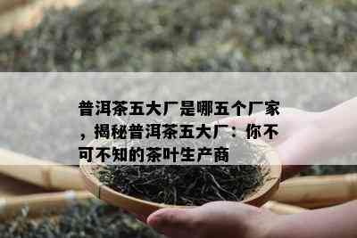 普洱茶五大厂是哪五个厂家，揭秘普洱茶五大厂：你不可不知的茶叶生产商