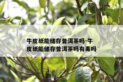 牛皮纸能储存普洱茶吗-牛皮纸能储存普洱茶吗有吗