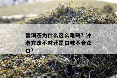 普洱茶为什么这么难喝？冲泡方法不对还是口味不合众口？