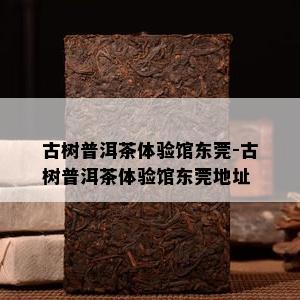 古树普洱茶体验馆东莞-古树普洱茶体验馆东莞地址