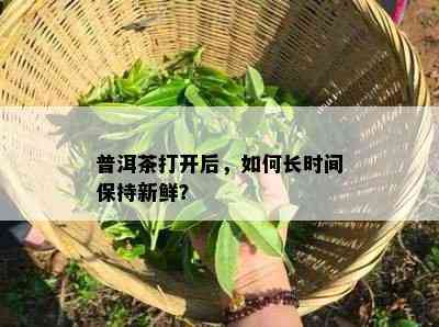 普洱茶打开后，如何长时间保持新鲜？