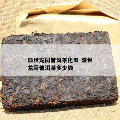 盛世龙园普洱茶化石-盛世龙园普洱茶多少钱