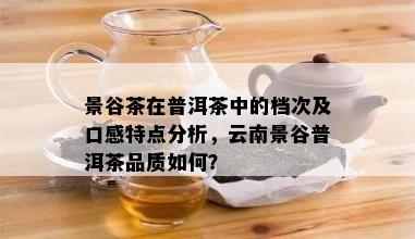 景谷茶在普洱茶中的档次及口感特点分析，云南景谷普洱茶品质如何？