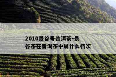 2010景谷号普洱茶-景谷茶在普洱茶中属什么档次