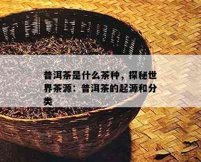 普洱茶是什么茶种，探秘世界茶源：普洱茶的起源和分类