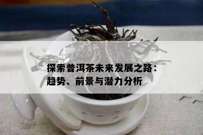 探索普洱茶未来发展之路：趋势、前景与潜力分析