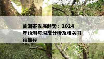 普洱茶发展趋势：2024年预测与深度分析及相关书籍推荐