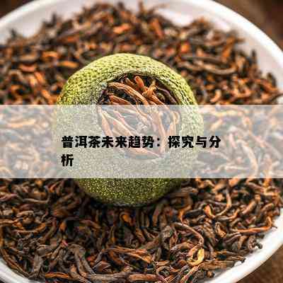 普洱茶未来趋势：探究与分析