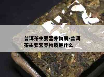 普洱茶主要营养物质-普洱茶主要营养物质是什么