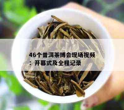 46个普洱茶博会现场视频：开幕式及全程记录