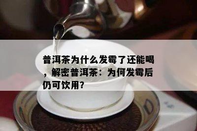 普洱茶为什么发霉了还能喝，解密普洱茶：为何发霉后仍可饮用？