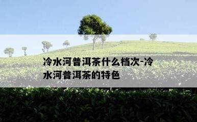 冷水河普洱茶什么档次-冷水河普洱茶的特色