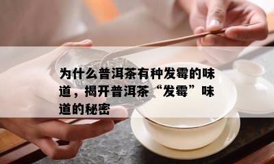 为什么普洱茶有种发霉的味道，揭开普洱茶“发霉”味道的秘密