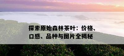 探索原始森林茶叶：价格、口感、品种与图片全揭秘