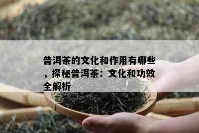 普洱茶的文化和作用有哪些，探秘普洱茶：文化和功效全解析