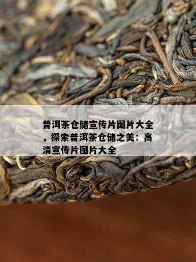 普洱茶仓储宣传片图片大全，探索普洱茶仓储之美：高清宣传片图片大全