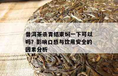 普洱茶杀青结束焖一下可以吗？影响口感与饮用安全的因素分析