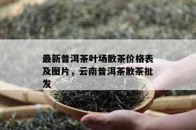 最新普洱茶叶场散茶价格表及图片，云南普洱茶散茶批发