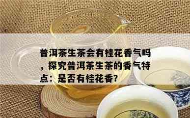 普洱茶生茶会有桂花香气吗，探究普洱茶生茶的香气特点：是否有桂花香？