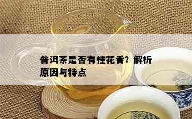 普洱茶是否有桂花香？解析原因与特点