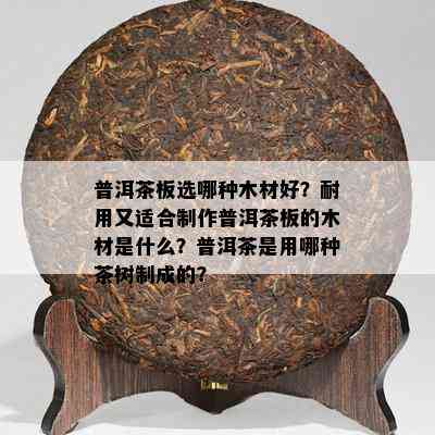 普洱茶板选哪种木材好？耐用又适合制作普洱茶板的木材是什么？普洱茶是用哪种茶树制成的？