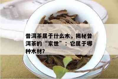 普洱茶属于什么木，揭秘普洱茶的“家世”：它属于哪种木材？