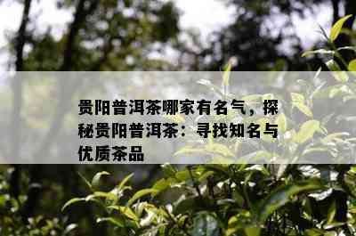 贵阳普洱茶哪家有名气，探秘贵阳普洱茶：寻找知名与优质茶品