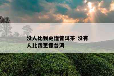 没人比我更懂普洱茶-没有人比我更懂普洱