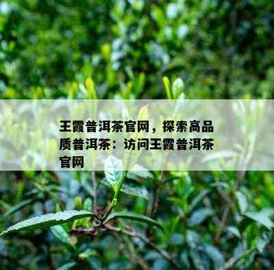 王霞普洱茶官网，探索高品质普洱茶：访问王霞普洱茶官网