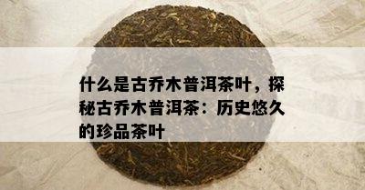 什么是古乔木普洱茶叶，探秘古乔木普洱茶：历史悠久的珍品茶叶