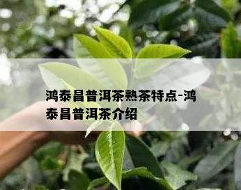 鸿泰昌普洱茶熟茶特点-鸿泰昌普洱茶介绍