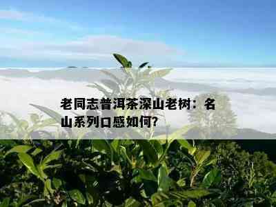 老同志普洱茶深山老树：名山系列口感如何？