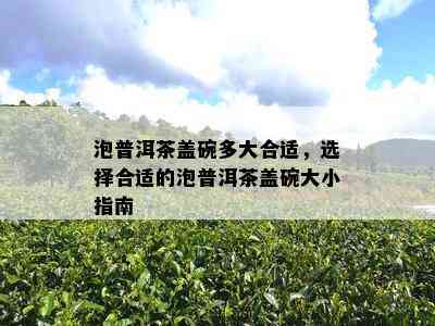 泡普洱茶盖碗多大合适，选择合适的泡普洱茶盖碗大小指南