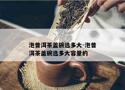 泡普洱茶盖碗选多大-泡普洱茶盖碗选多大容量的