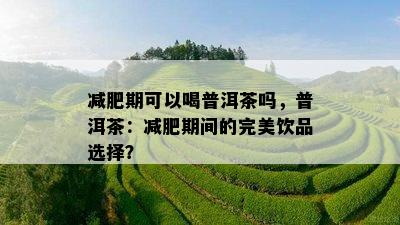 减肥期可以喝普洱茶吗，普洱茶：减肥期间的完美饮品选择？