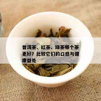 普洱茶、红茶、绿茶哪个茶更好？比较它们的口感与健康益处