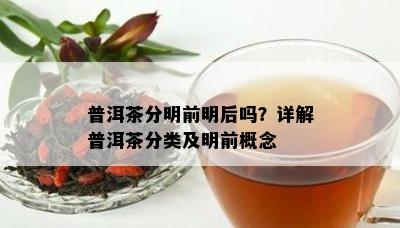 普洱茶分明前明后吗？详解普洱茶分类及明前概念