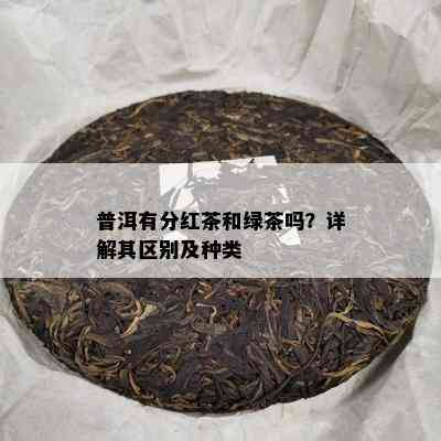 普洱有分红茶和绿茶吗？详解其区别及种类