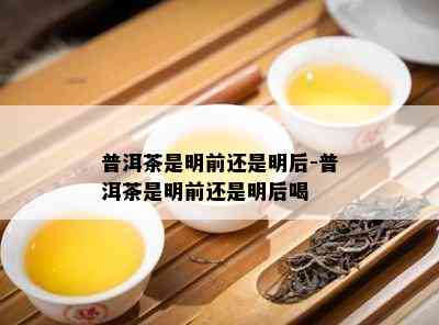 普洱茶是明前还是明后-普洱茶是明前还是明后喝