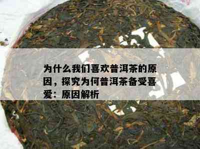 为什么我们喜欢普洱茶的原因，探究为何普洱茶备受喜爱：原因解析