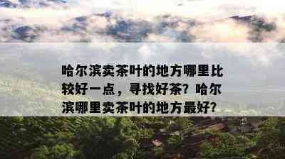 哈尔滨卖茶叶的地方哪里比较好一点，寻找好茶？哈尔滨哪里卖茶叶的地方更好？