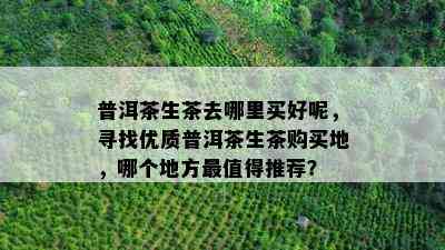 普洱茶生茶去哪里买好呢，寻找优质普洱茶生茶购买地，哪个地方最值得推荐？