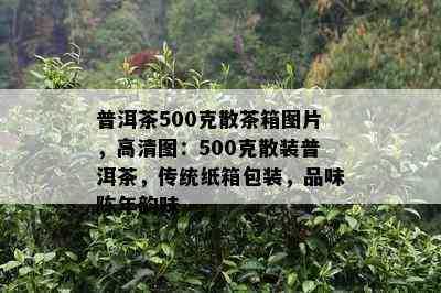 普洱茶500克散茶箱图片，高清图：500克散装普洱茶，传统纸箱包装，品味陈年韵味