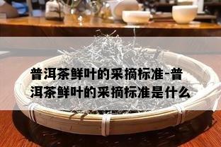 普洱茶鲜叶的采摘标准-普洱茶鲜叶的采摘标准是什么