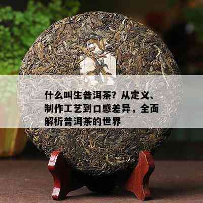 什么叫生普洱茶？从定义、制作工艺到口感差异，全面解析普洱茶的世界