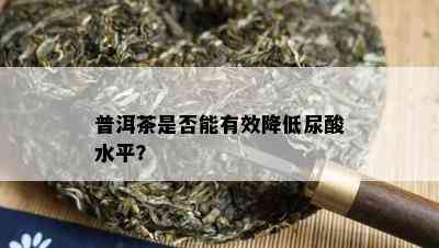 普洱茶是否能有效降低尿酸水平？