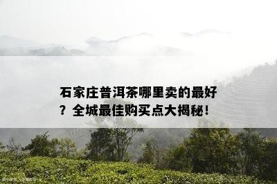 石家庄普洱茶哪里卖的更好？全城更佳购买点大揭秘！